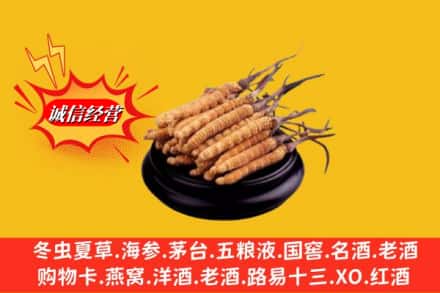 安庆市太湖求购回收虫草多少钱每克